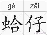 蛤仔的拼音