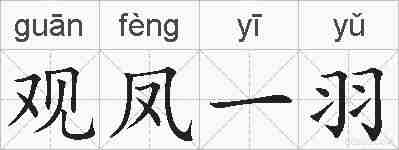 观凤一羽的拼音