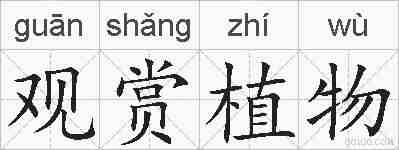 观赏植物的拼音