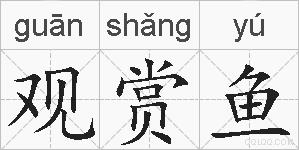 观赏鱼的拼音