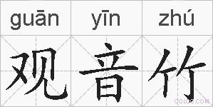 观音竹的拼音