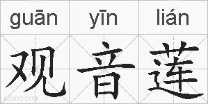 观音莲的拼音