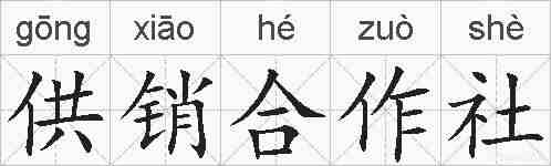 供销合作社的拼音