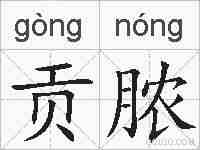贡脓的拼音