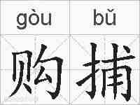 购捕的拼音