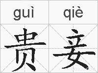 贵妾的拼音