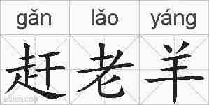 赶老羊的拼音