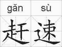 赶速的拼音