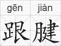 跟腱的拼音