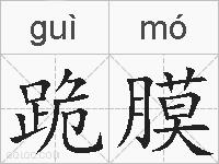 跪膜的拼音