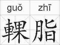輠脂的拼音
