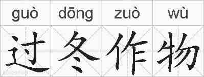 过冬作物的拼音