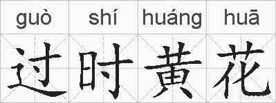 过时黄花的拼音