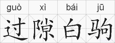 过隙白驹的拼音