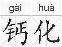 钙化的拼音