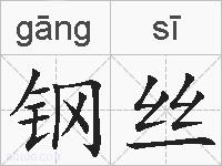 钢丝的拼音