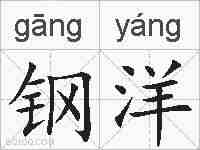 钢洋的拼音