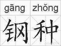钢种的拼音