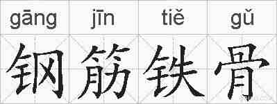 钢筋铁骨的拼音