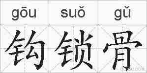钩锁骨的拼音