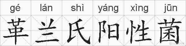 革兰氏阳性菌的拼音