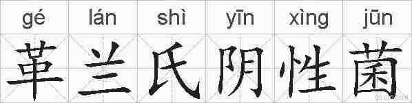 革兰氏阴性菌的拼音