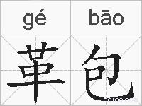 革包的拼音