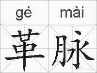 革脉的拼音
