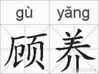 顾养的拼音