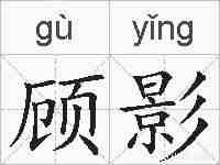 顾影的拼音