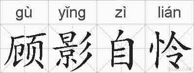 顾影自怜的拼音