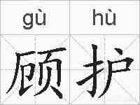 顾护的拼音