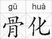 骨化的拼音