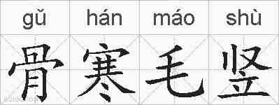 骨寒毛竖的拼音