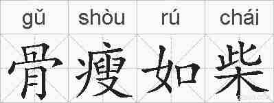 骨瘦如柴的拼音