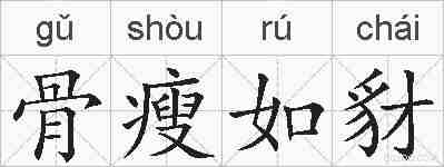 骨瘦如豺的拼音