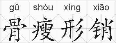 骨瘦形销的拼音