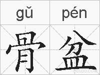 骨盆的拼音