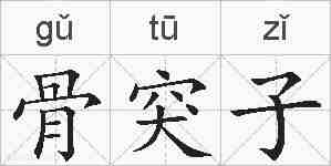 骨突子的拼音