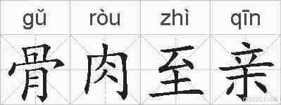 骨肉至亲的拼音
