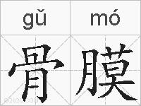 骨膜的拼音
