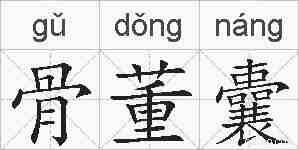 骨董囊的拼音