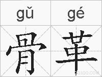 骨革的拼音