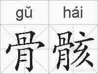 骨骸的拼音