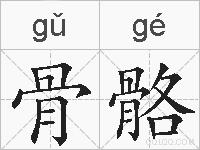 骨骼的拼音
