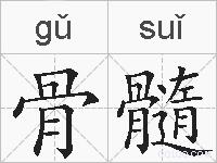 骨髓的拼音