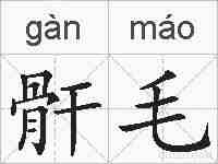 骭毛的拼音