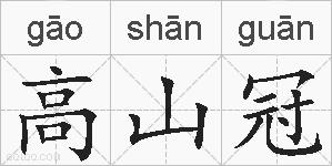 高山冠的拼音