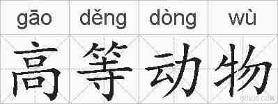 高等动物的拼音