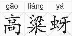 高粱蚜的拼音